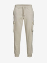 Jack & Jones Gordon Pantaloni de trening