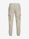 Jack & Jones Gordon Pantaloni de trening