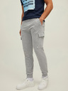 Jack & Jones Gordon Pantaloni de trening