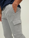 Jack & Jones Gordon Pantaloni de trening