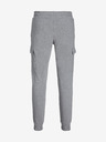 Jack & Jones Gordon Pantaloni de trening