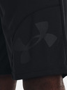 Under Armour UA Perimetr 11'' Pantaloni scurți