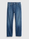 GAP Washwell Jeans