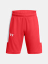 Under Armour UA Baseline Pantaloni scurţi pentru copii