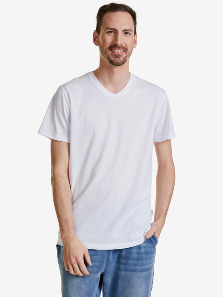 Sam 73 Leonard Tricou