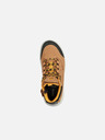 Geox Brown Boys' Ankle Boots Geox Aeranter Abx