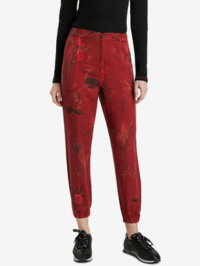 Desigual Cmotiger Pantaloni