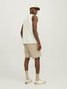 Jack & Jones Pantaloni de trening pentru bărbați Jack & Jones Gordon Beige